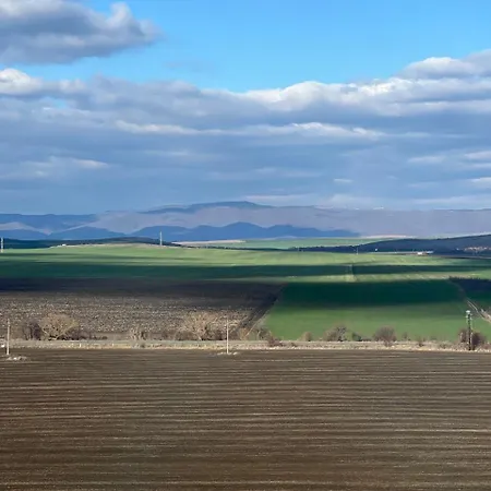 דירה Family With Sea View Vineyard אהלוי